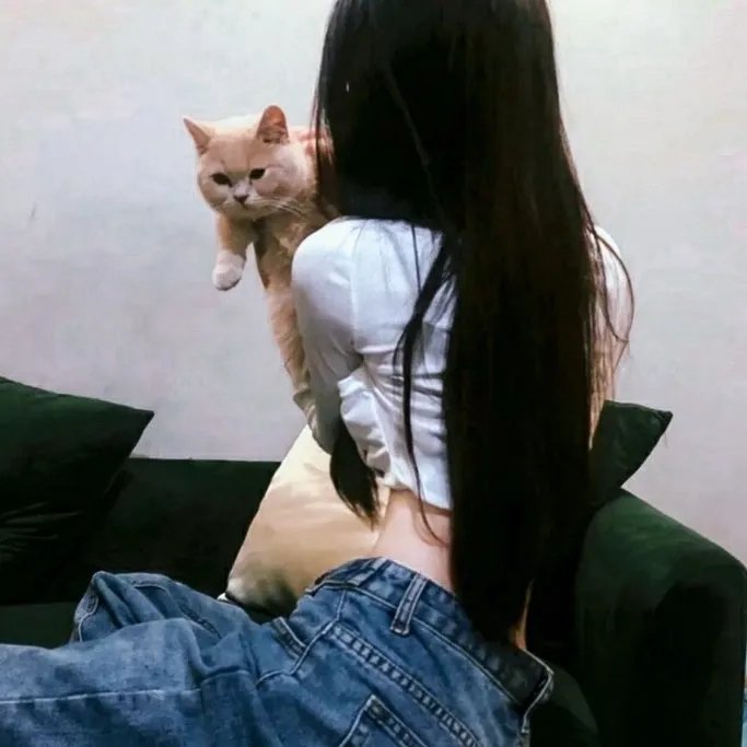 情链